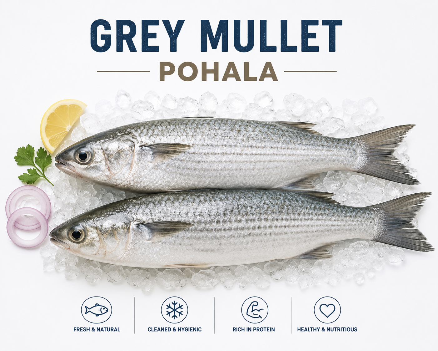 Grey Mullet (Pohala)