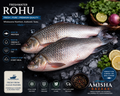 Rohu Fish