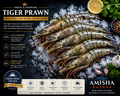 Tiger Prawn