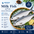 Milk Fish (Seba Machha)