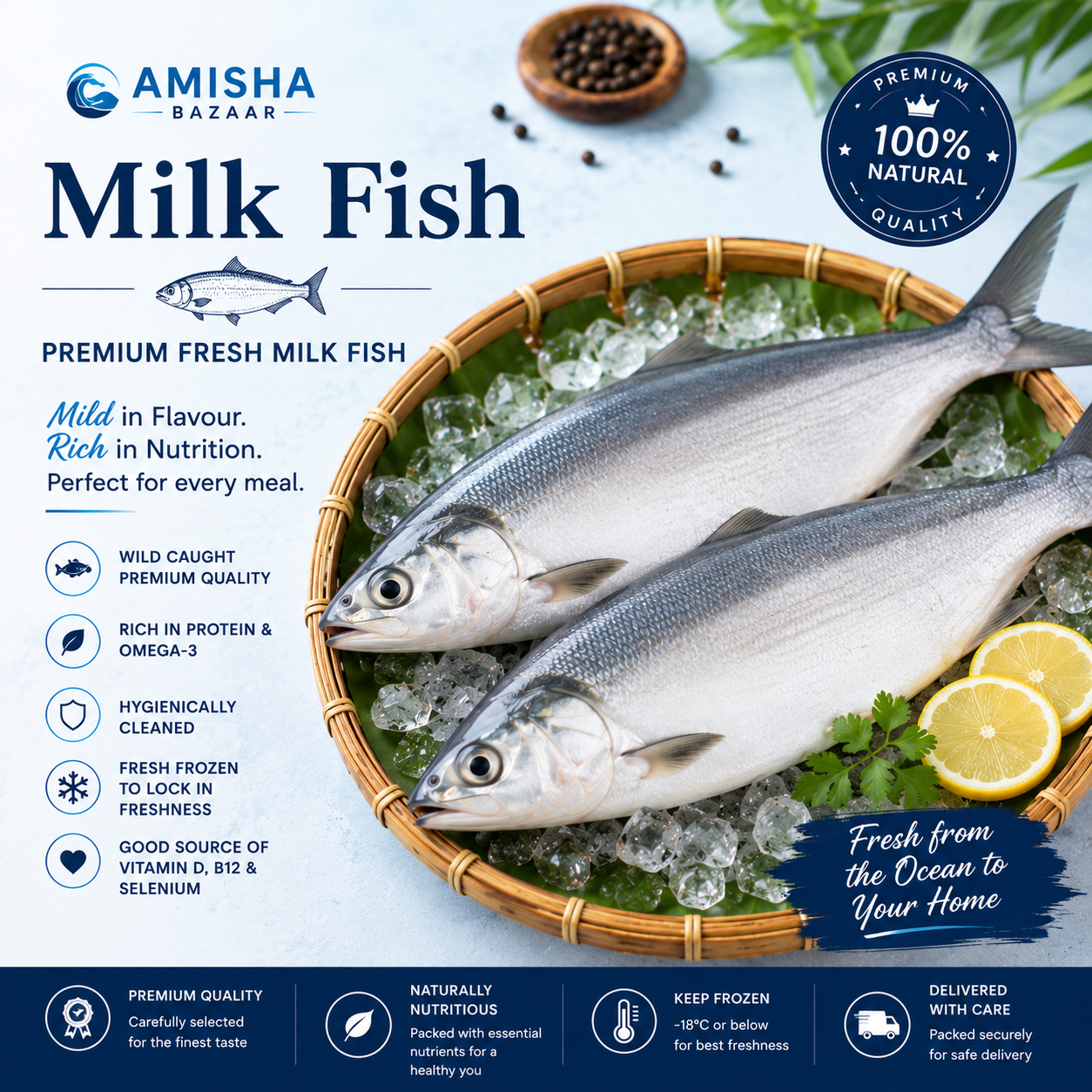 Milk Fish (Seba Machha)
