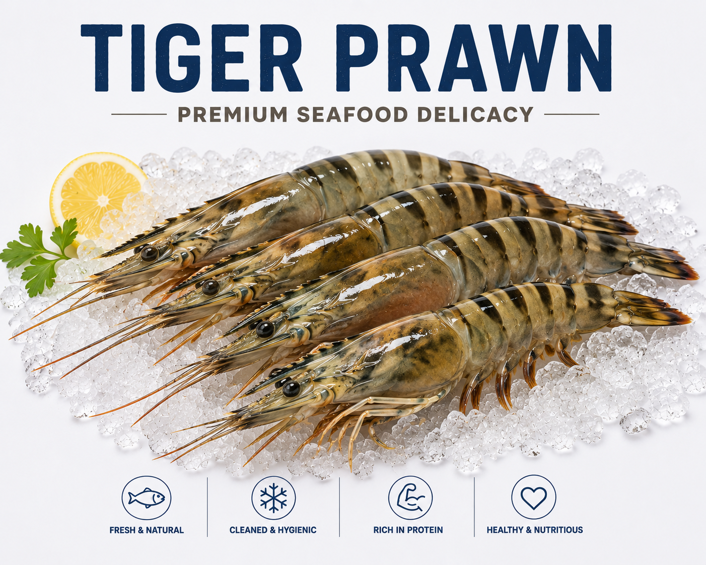 Fresh Tiger Prawns