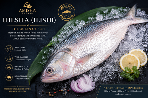 Fresh Hilsa Shad (Ilishi) — The King of Fish